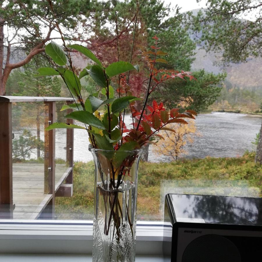 Hytte Ved Gaularfjellet Viksdalen المظهر الخارجي الصورة